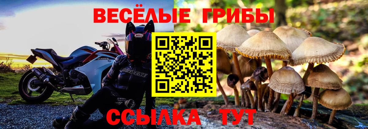 Галлюциногенные грибы ЛСД Белая Калитва